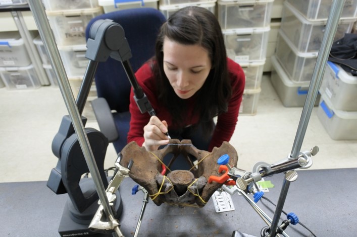 Cho measuring Pelvis