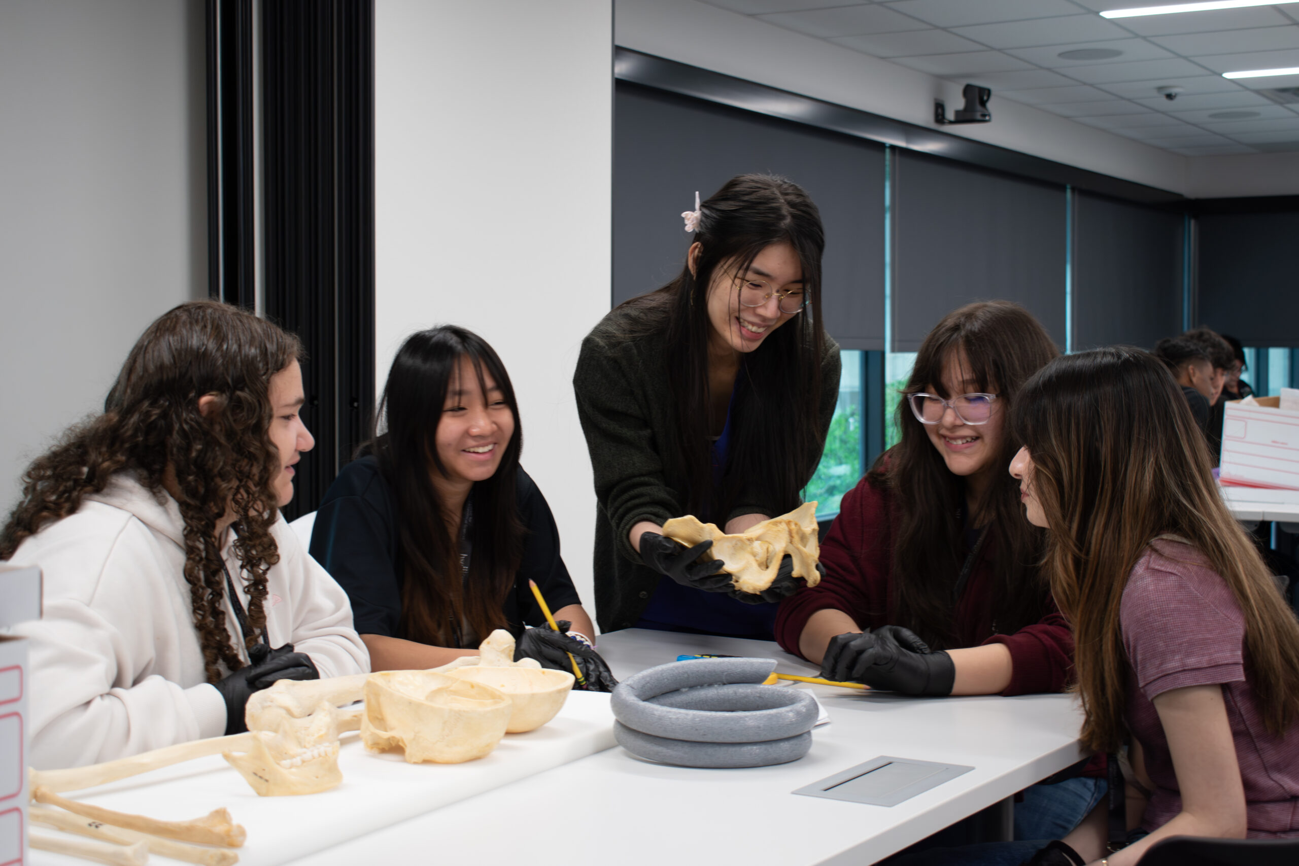 Students looking at bones