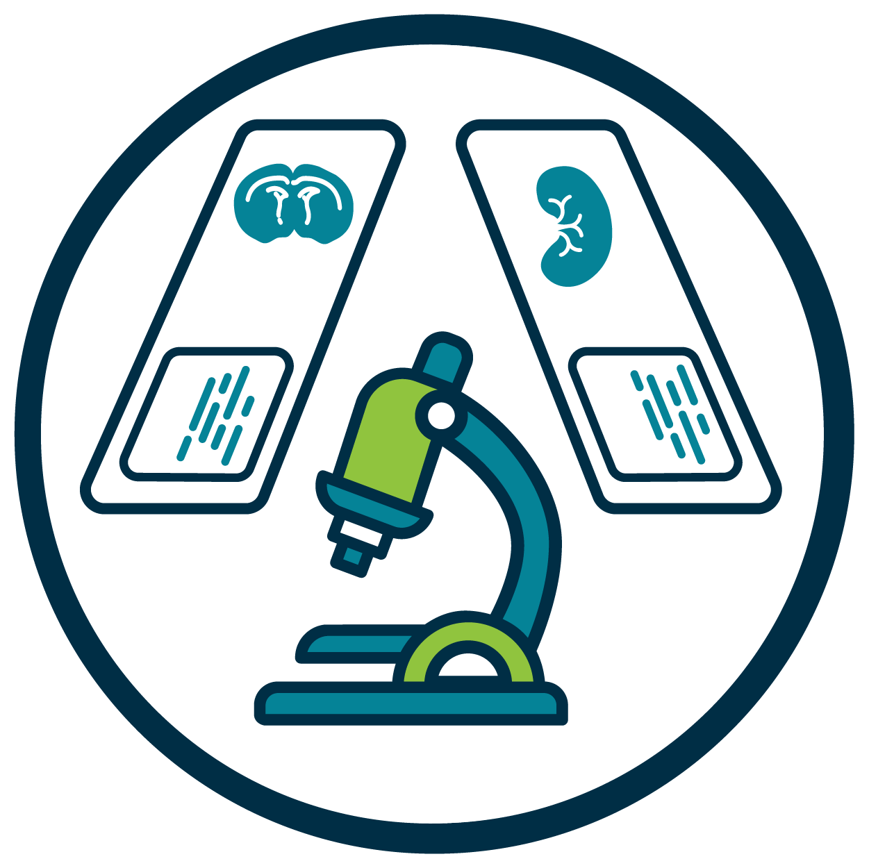 Microscopy and Histology icon