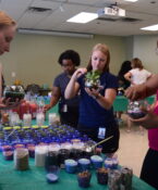 Students looking at plants