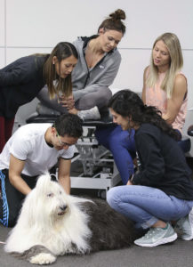 Dr. Claire Peel Animal Assisted Dog Therapy Training.