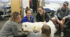 Dr. Claire Peel Animal Assisted Dog Therapy Training.