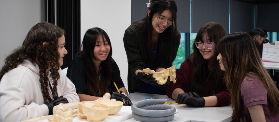 Tabs Students In Anatomy Lab 2023