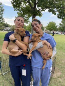 Students pose with dogs