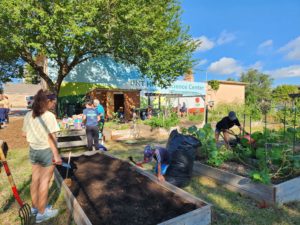 Photo of the HSC Community Garden. Shows people working in the plots. The toolshed and mural are in the background.