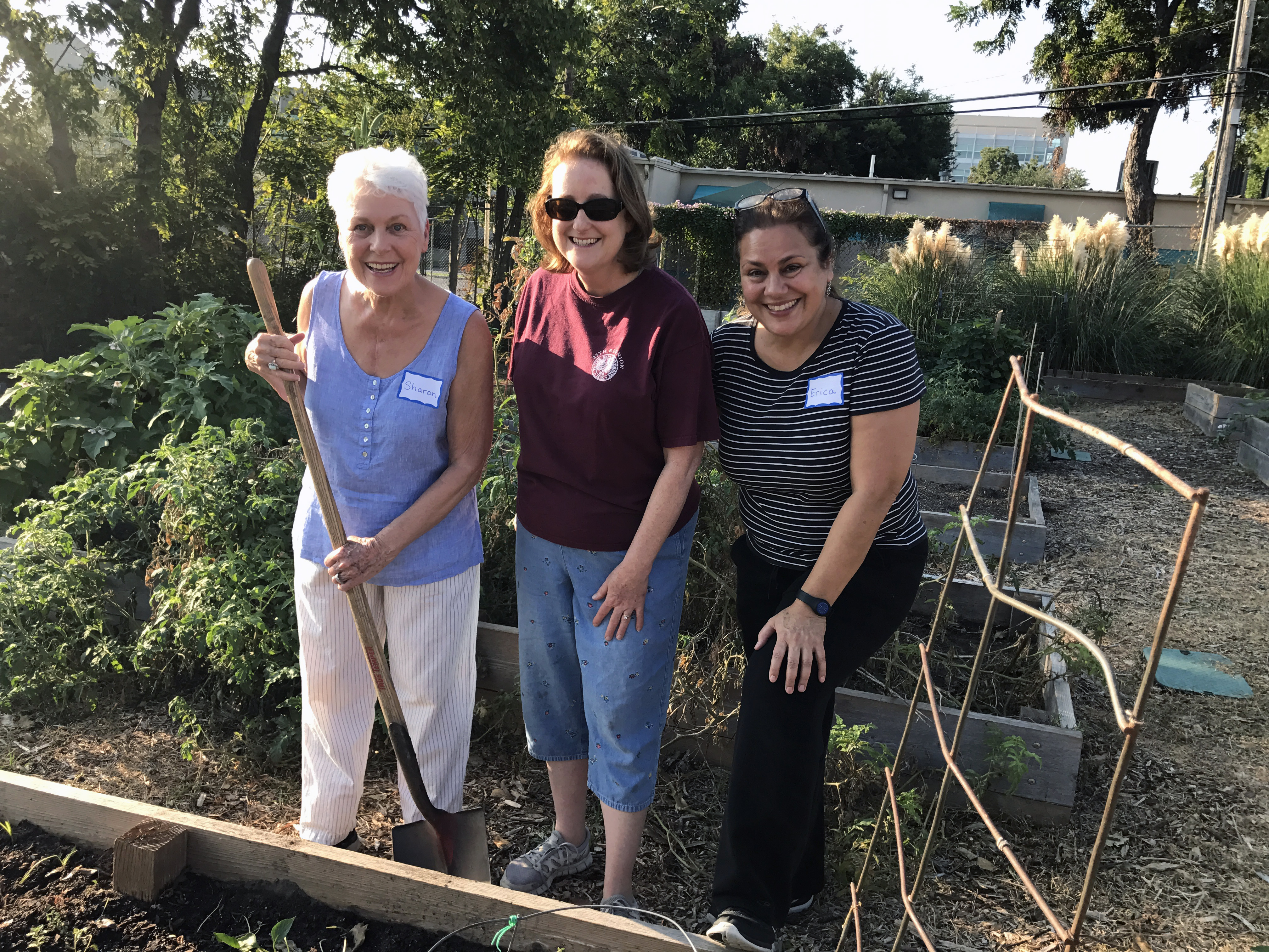 Sharon Miller Erica Garden 092317