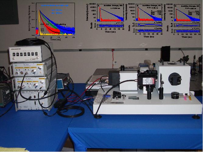 fluorometer