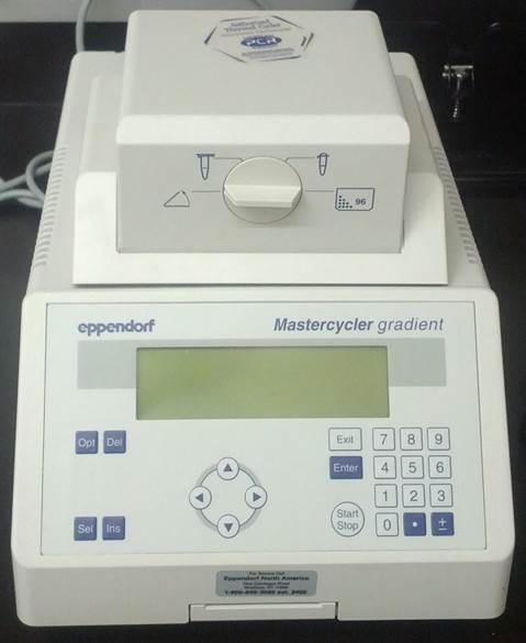 Eppendorf gradient thermocycler