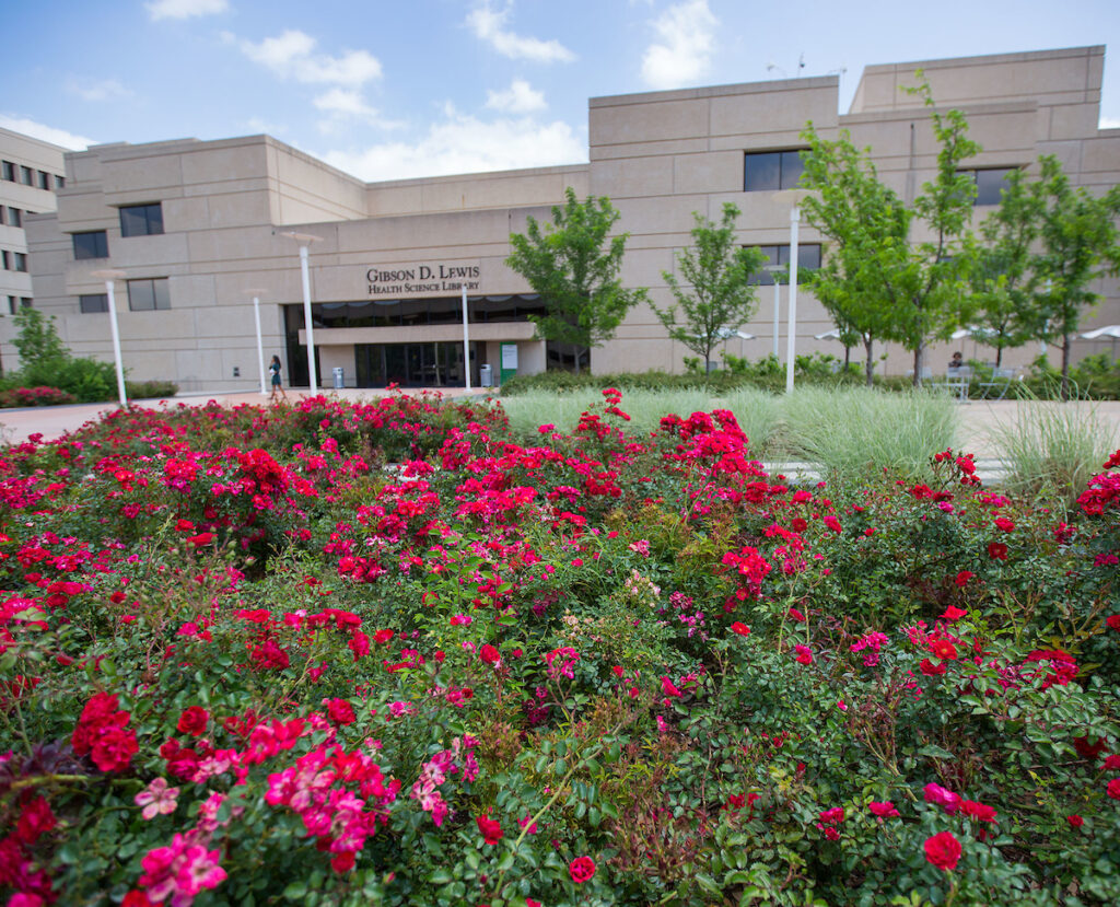 Gibson Lewis Library