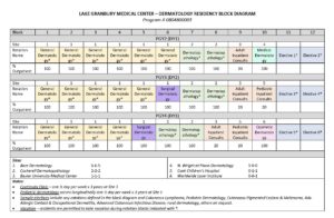 2024 Dermatology Block Diagram